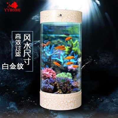 超白金魚缸哪個牌子好用安全又便宜（知名品牌的超白金魚缸有哪些？） 黃金招財貓魚 第2張