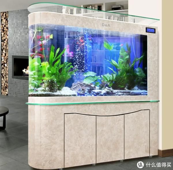 觀賞魚門店設計（觀賞魚門店設計應注重創(chuàng)造一個美觀、實用且實用的環(huán)境） 定時器/自控系統(tǒng) 第4張