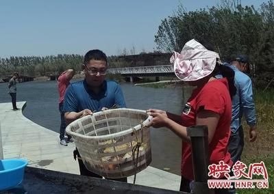 廣州觀賞魚魚商會會長名單公布（如何看待廣州觀賞魚產(chǎn)業(yè)的發(fā)展？）