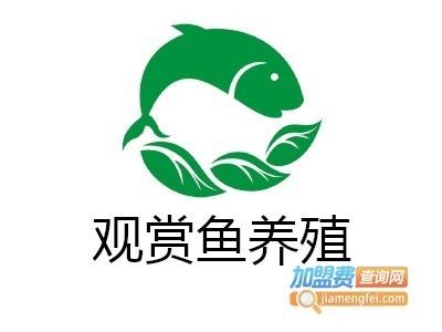 觀賞魚加盟品牌有哪些（觀賞魚加盟加盟品牌） 速倍妥 第4張