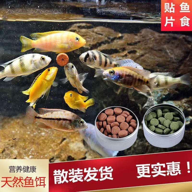 觀賞魚的魚食制作方法（幾種常見的觀賞魚魚食制作方法） 帝王三間魚 第1張