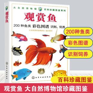 觀賞魚海水淡水哪個好養(yǎng)（淡水觀賞魚比海水觀賞魚比海水觀賞魚更容易飼養(yǎng)的品種） 泰龐海蓮魚 第4張