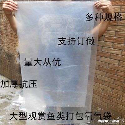 觀賞魚可以快遞嗎（觀賞魚可以快遞嗎？觀賞魚快遞的注意事項(xiàng)）