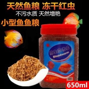 觀賞魚的魚食能喂觀賞蝦么？（觀賞魚與觀賞蝦的混養(yǎng)策略魚蝦混養(yǎng)是一種常見的水族養(yǎng)殖方式）