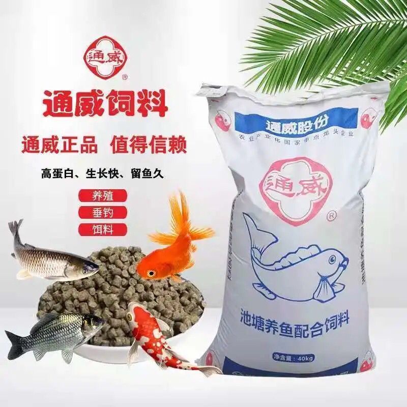 觀賞魚飼料廠家直銷（如何尋找觀賞魚飼料廠家直銷） 馬拉莫寶石魚 第4張