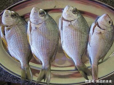 觀賞魚淡水魚和海水魚有什么區(qū)別（淡水魚與淡水魚的區(qū)別） 廣州龍魚批發(fā)市場 第1張