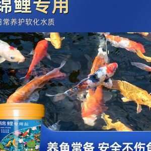 觀賞魚專用魚鹽對魚有害嗎知乎（觀賞魚專用魚鹽在使用過程中需要注意的問題） 女王大帆魚 第4張