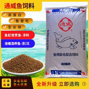 黑魚觀賞魚吃什么飼料好呢（自制黑魚飼料的方法） 龍鳳鯉魚 第4張