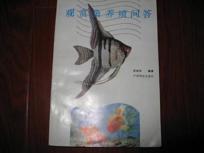 觀賞魚拍賣網(wǎng)（如果你想?yún)⑴c觀賞魚的拍賣） 進口元寶鳳凰魚 第1張