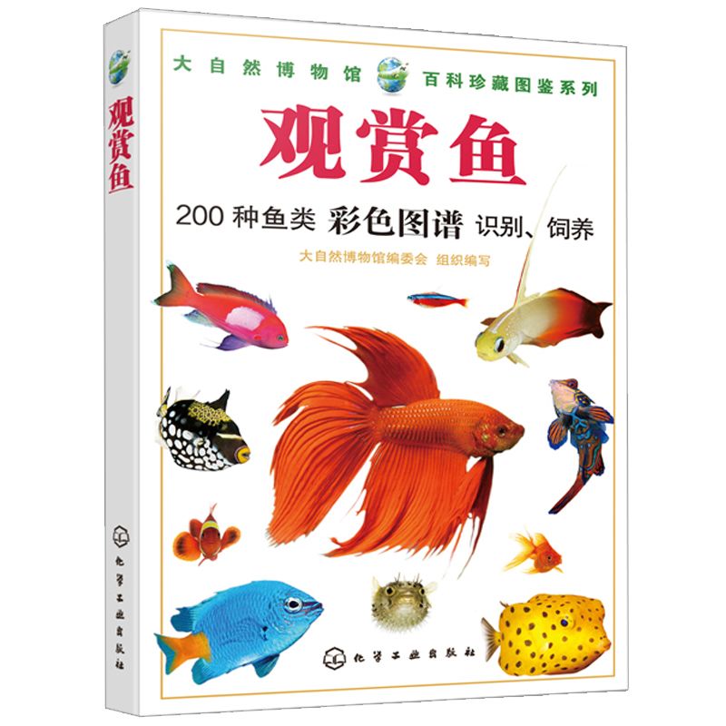 觀賞魚類養(yǎng)殖學(xué)（觀賞魚類養(yǎng)殖學(xué)是一門研究如何飼養(yǎng)和繁殖觀賞魚的學(xué)科） 文玩 第1張