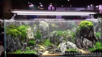 廣東水族批發(fā)市場在哪個位置?。◤V東水產(chǎn)市場的歷史演變）