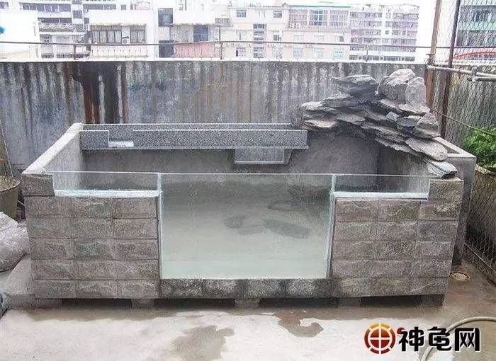 觀賞魚池建造（庭院景觀觀賞魚池設(shè)計） 南美異形觀賞魚 第1張