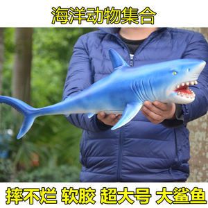 大白鯊魚介紹資料（世界上最大的捕食性鯊魚——大白鯊） 銀河星鉆魚 第3張