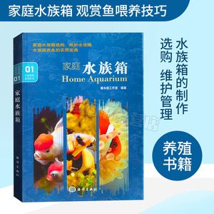 六角龍魚不吃東西怎么辦呀（六角龍魚不吃東西怎么辦？）