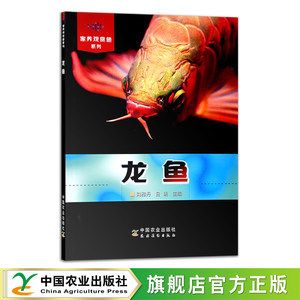 六角龍魚不吃東西怎么辦呀（六角龍魚不吃東西怎么辦？）