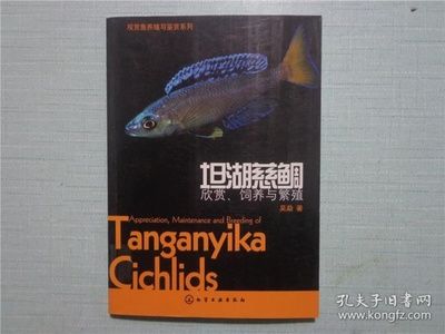 觀賞魚鑒賞圖書（觀賞魚的鑒賞與養(yǎng)殖） 魚缸百科 第4張