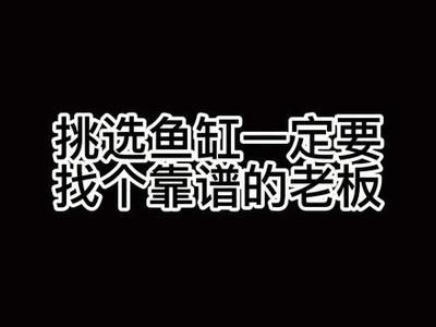 觀賞魚搞笑視頻（關(guān)于觀賞魚的搞笑視頻）