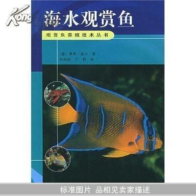 常見海水觀賞魚（什么是熱帶海水觀賞魚） 金三間魚 第3張