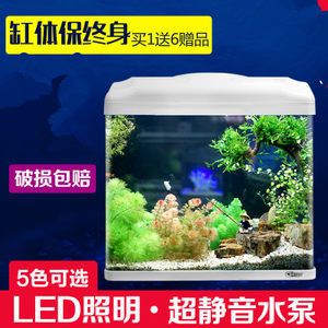 觀賞魚水泵24小時開著嗎視頻（觀賞魚水泵是否需要24小時開著） 黑影道人魚 第4張