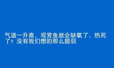 觀賞魚(yú)的文案怎么寫(xiě)（“觀賞魚(yú)的文案怎么寫(xiě)”吸引人的觀賞魚(yú)文案寫(xiě)作建議） 非洲象鼻魚(yú) 第3張