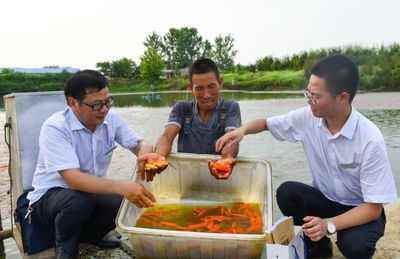 觀賞魚行業(yè)虧損（觀賞魚行業(yè)虧損風(fēng)險(xiǎn)更加明顯，觀賞魚行業(yè)利潤(rùn)相當(dāng)可觀） 巴卡雷龍魚 第4張