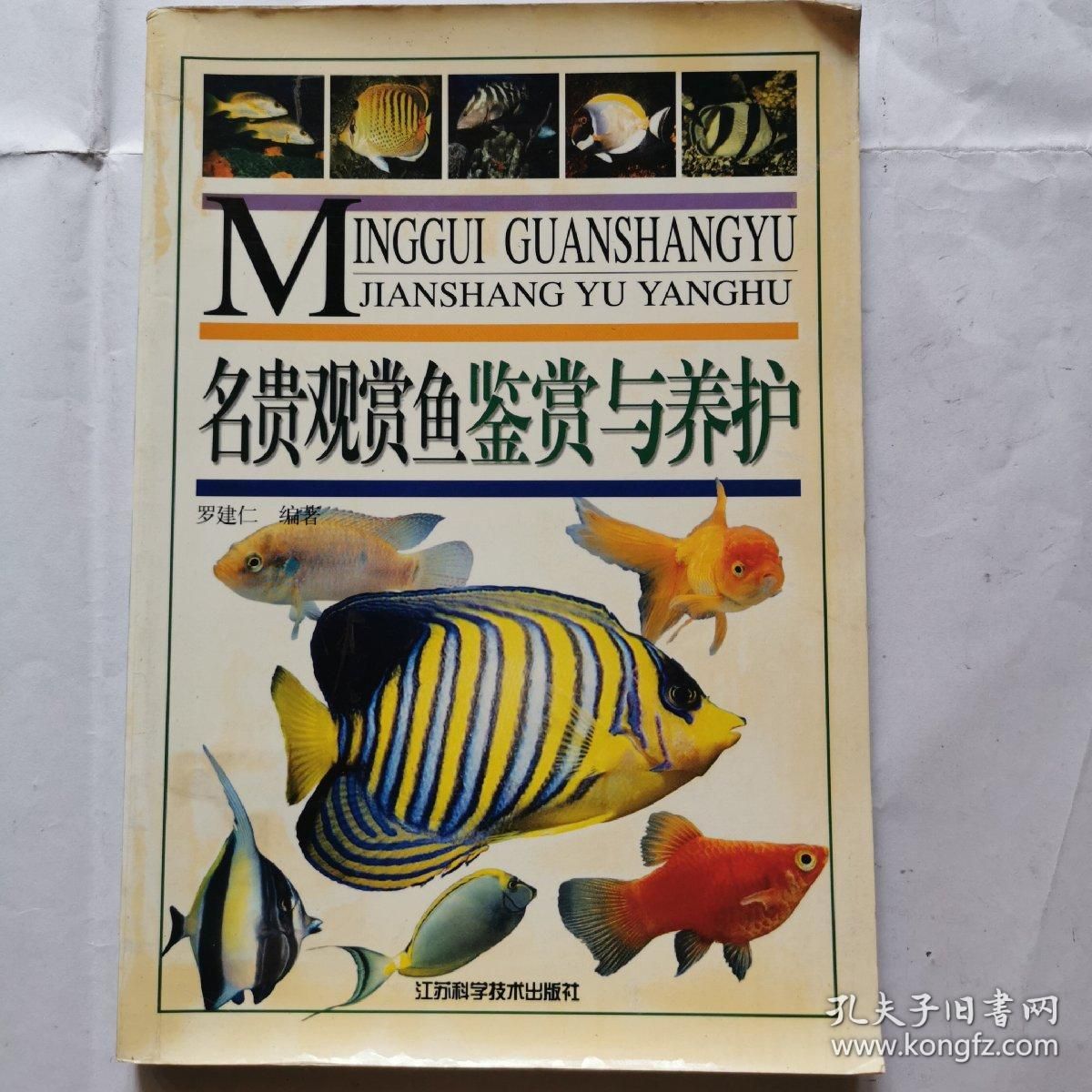 觀賞魚鑒賞（觀賞魚鑒賞與養(yǎng)殖） 黃金招財(cái)貓魚 第4張