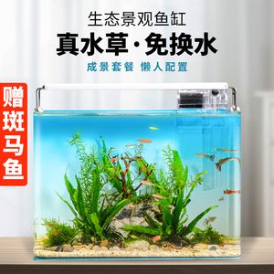 草金魚缸怎么造景（草金魚缸造景之水草篇金魚缸造景之水草篇金魚缸造景之水草篇） 元寶鳳凰魚專用魚糧 第3張