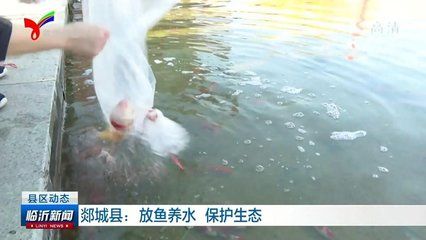 放魚養(yǎng)水（放魚養(yǎng)水是一種可持續(xù)發(fā)展的重要性生物多樣性保護的重要性） 量子養(yǎng)魚技術(shù) 第4張