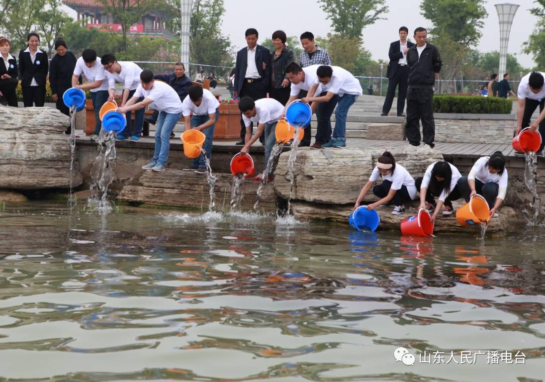 放魚養(yǎng)水（放魚養(yǎng)水是一種可持續(xù)發(fā)展的重要性生物多樣性保護的重要性） 量子養(yǎng)魚技術(shù) 第3張