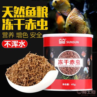 觀賞魚紅蟲飼料（紅蟲是一種常見的觀賞魚飼料） 杰西卡恐龍魚 第1張