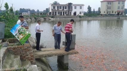 觀賞魚海魚怎么養(yǎng)好吃（養(yǎng)觀賞魚海魚的基本方法） 泗水龍魚 第3張