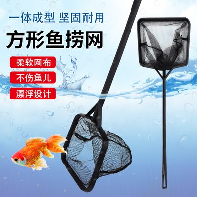 觀賞魚水族箱設(shè)計(jì)（觀賞魚水族箱設(shè)計(jì)關(guān)鍵要點(diǎn)）