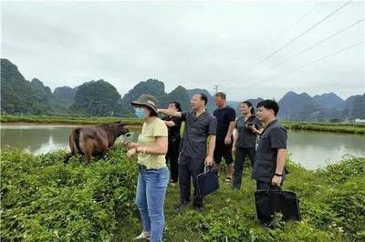 廣東觀賞魚鑒定機構(gòu)有哪些地方（廣東省內(nèi)的幾家觀賞魚鑒定機構(gòu)） 銀河星鉆魚 第1張