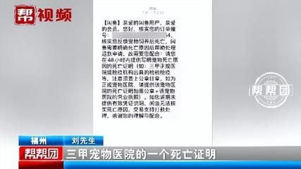 觀賞魚買回來就死了,可以去找老板嗎（觀賞魚的養(yǎng)護(hù)誤區(qū)） 博特水族 第4張