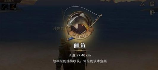 釣觀賞魚用什么魚餌（自制觀賞魚餌料的創(chuàng)意方法除了選擇合適的魚餌外，還能節(jié)省開支） 帝王三間魚 第4張