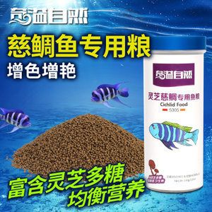 觀賞魚喂什么增色（如何選擇觀賞魚增色飼料） 黃金斑馬魚 第1張