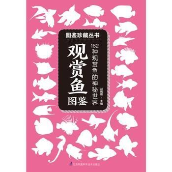 觀賞魚店鋪簡介怎么寫（莒縣觀賞魚店鋪簡介） 貝因美 第2張