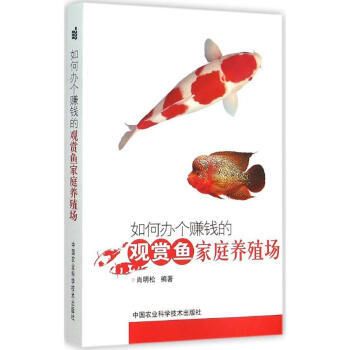 觀賞魚啥意思（觀賞魚的種類和飼養(yǎng)技巧） 熱帶魚魚苗批發(fā) 第3張