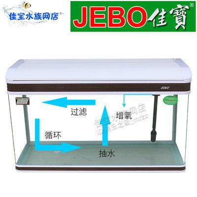 JEBO佳寶龍魚魚缸（jebo/佳寶jebo魚缸品牌介紹） 白化火箭 第2張