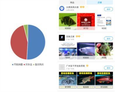 觀賞魚市場(chǎng)價(jià)格調(diào)查（觀賞魚市場(chǎng)價(jià)格的影響因素） 貝因美 第3張