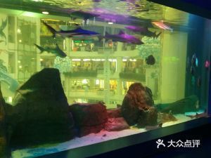 廣州金魚缸維修店（廣州上門清洗魚缸維修） 造景/裝飾 第3張