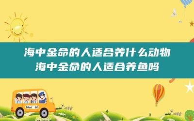 海中金魚缸怎么樣養(yǎng)魚（海中金魚缸養(yǎng)護指南） 非洲象鼻魚 第3張