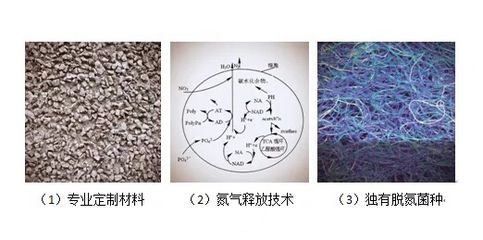 GOOPOOL谷珀硝化細(xì)菌（goopool/goopool/硝化細(xì)菌） 財(cái)神鸚鵡魚 第4張