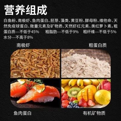 白魚觀賞魚是什么魚類的食物（白魚的飼料制作方法） 虎斑恐龍魚