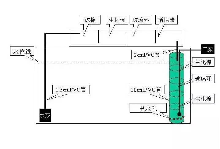 過濾桶濾材放什么（過濾桶濾材放置順序?qū)τ谶^濾效果和魚缸生態(tài)的維持至關(guān)重要）