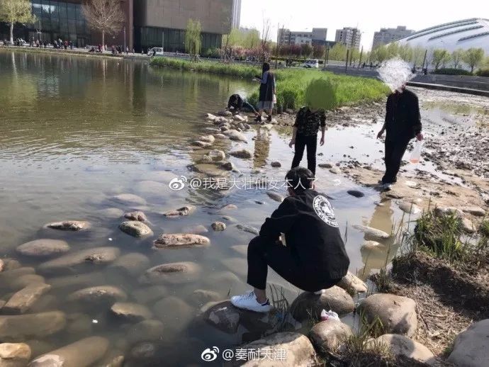 公園觀賞魚能不能吃小魚（城市公園生態(tài)系統(tǒng)的維護(hù)城市公園生態(tài)系統(tǒng)的維護(hù)城市公園生態(tài)系統(tǒng)） 名貴錦鯉魚 第1張