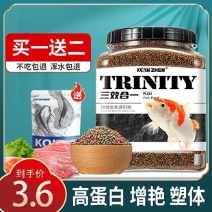 觀賞魚專用魚糧有哪些品牌（觀賞魚專用魚糧品牌） 黃鰭鯧魚 第4張