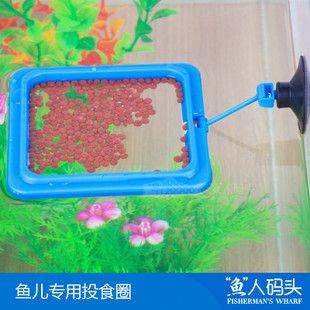 柏卡樂魚缸怎么樣（柏卡樂的魚缸加熱棒受到了用戶的肯定）