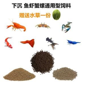 觀賞蝦蟹等飼料（觀賞蝦蟹等水族寵物的飼料選擇） 紅勾銀版魚 第1張