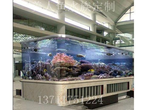 廣州金魚缸定做加工廠（廣州金魚缸定做公司） 龍魚芯片掃碼器 第3張